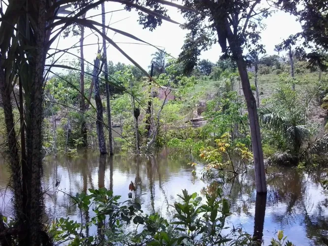 Ótimo terreno em Iranduba