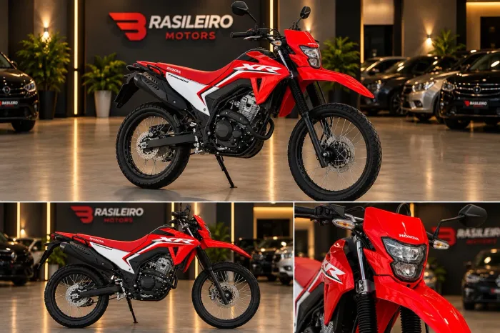 HONDA TORNADO XR 300