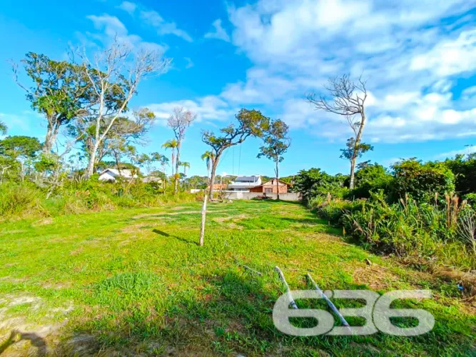 Terreno | São Francisco do Sul | Ervino