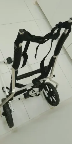 Cadeira de rodas para cachorro