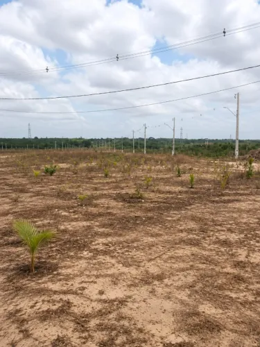 Loteamento Monte Bello - no entorno do Maiobao I Pagamento facilitado I 20% de Entrada
