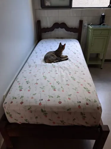 Cama de solteiro de madeira maciça - toda de sucupira e colchão de molas