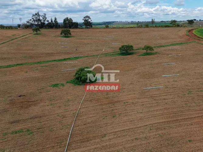 Chácara 9 alqueires (43 hectares) Leopoldo de Bulhões - Go