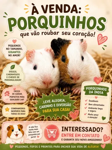 Porquinho da índia