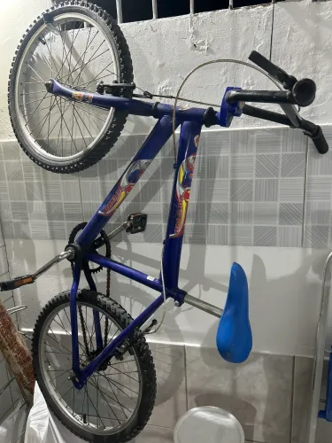 Bicicleta Menino
