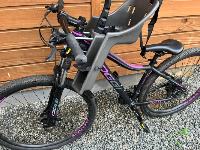 Bicicleta oggi