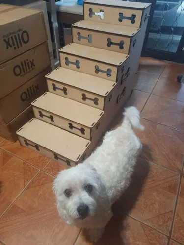 ESCADA PET