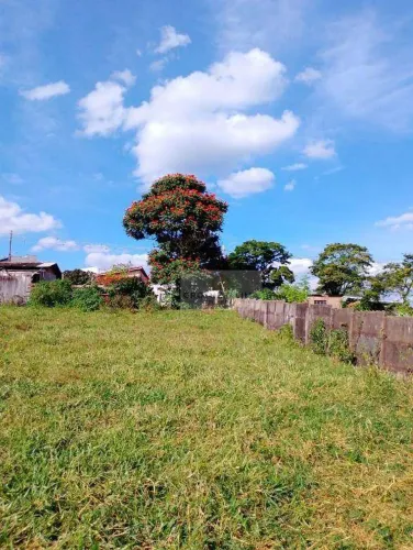 Terreno 10.000m2 em Cerqueira Cesar em área privilegiada