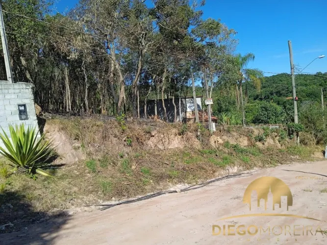 Terrenos em Terra Preta à venda