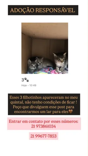Doação responsável