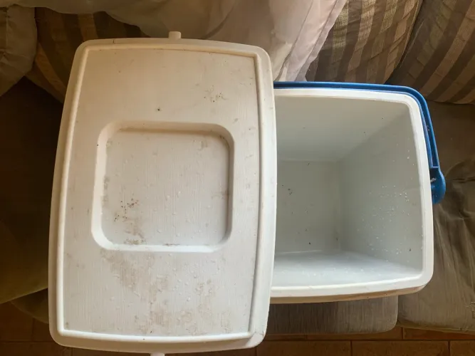 Caixa Térmica 24 Litros