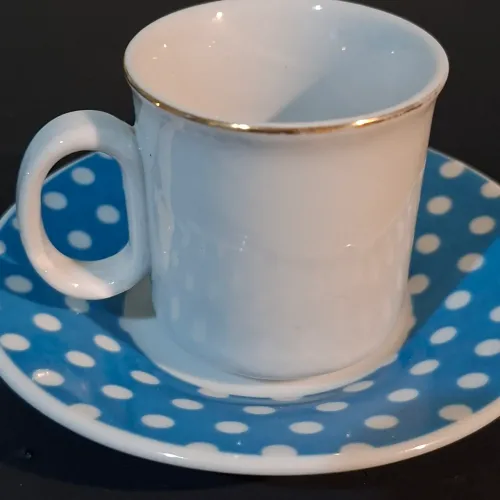 Xícara de Café e Pires Porcelana - Montado - Vera Cruz