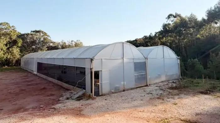 Estufa agrícola profissional - 546 m² - 14 x 39 metros