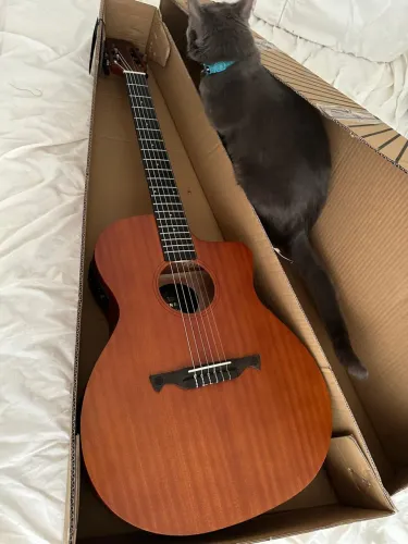 Vendo Violão Tagyma Vegas Mahogany Nylon 6 cordas Elétrico 