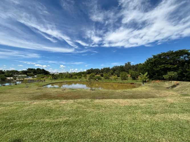Vendo sitio em Artur Nogueira sp