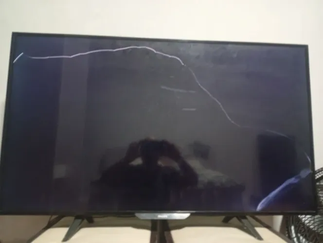 Televisão 42 polegadas Philips só sai o som não é smart