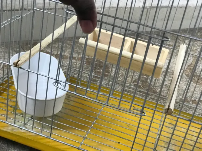 Gaiola para pássaro completa
