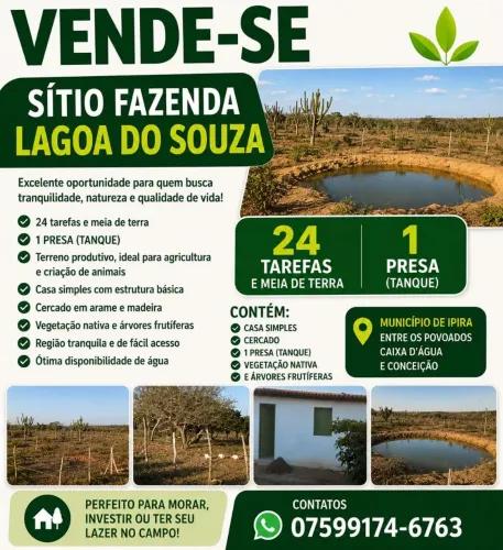 Vende-se sítio, Fazenda Lagoa do Souza
