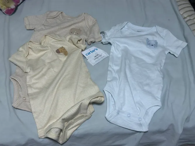 body carters