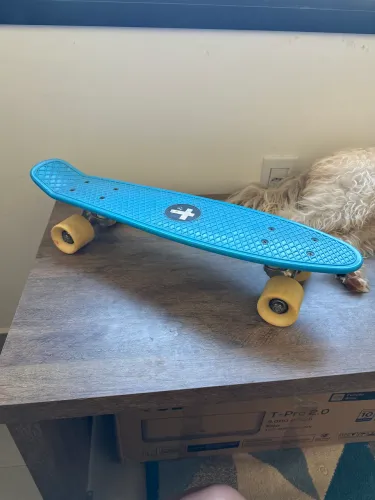 Skate 