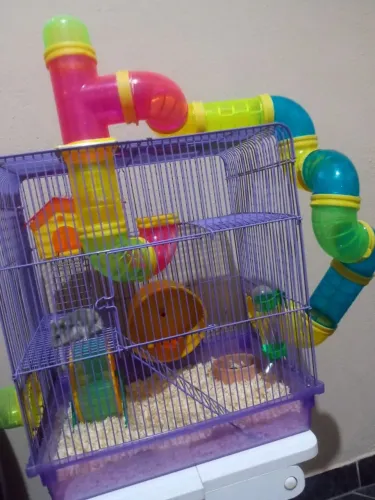 Gaiola completa de hamster