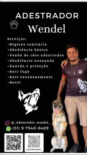 Adestrador de cães BH