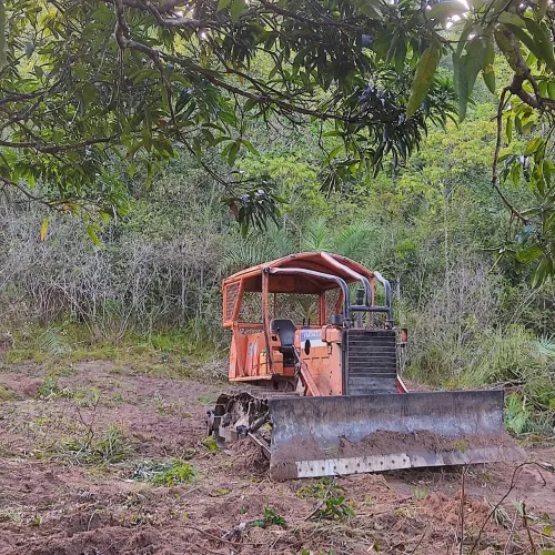 Trator de esteira a venda