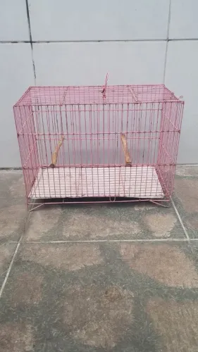 Três Gaiolas