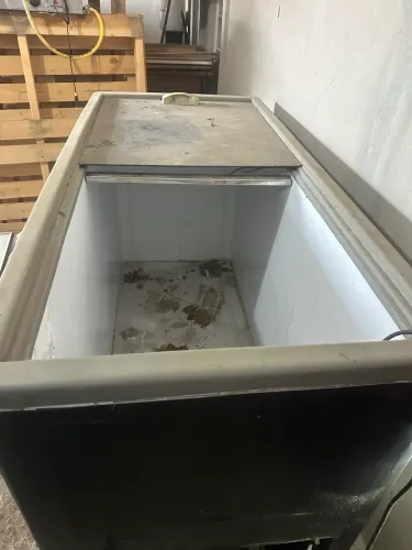 Freezer ilha 127 volts