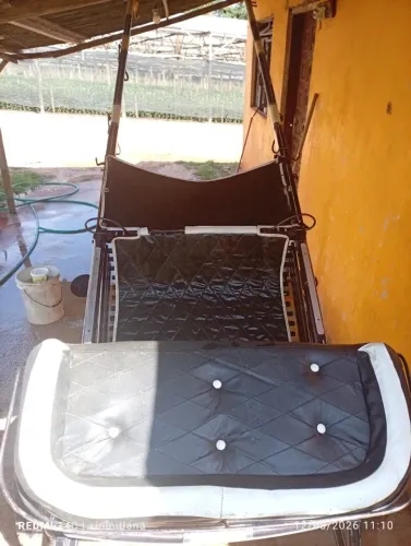 Charrete em ótimo estado