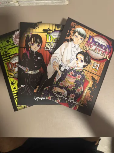 Demon Slayer: 17, 18 e 21