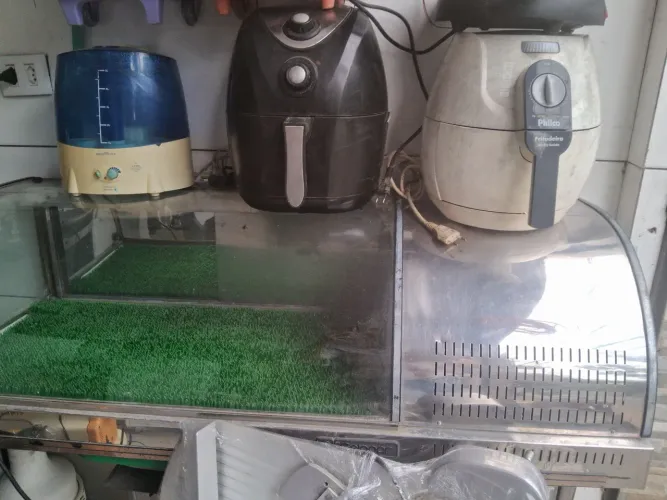 Estufa gelada