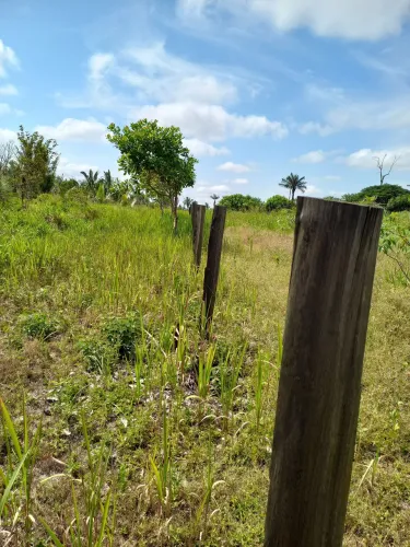 Nao contrato de compra e venda tudo no cartório