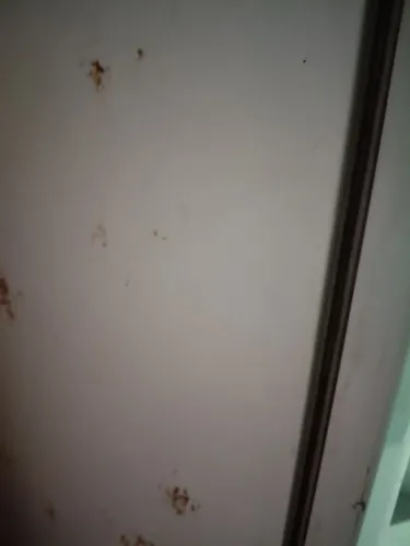 Vendo Geladeira com defeito