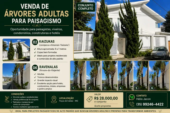 Árvores Adultas