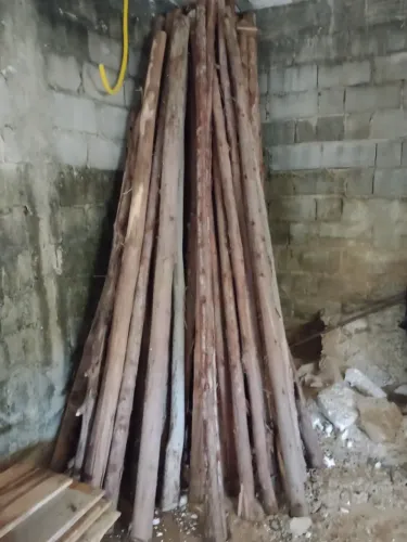escoras eucalipto