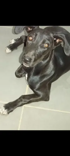 Doação