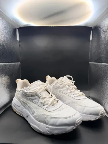 Puma vis2k