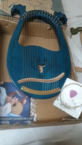 Harpa Lyre Music