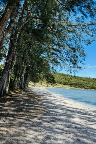 Lote espetacular em Condomínio na beira da praia