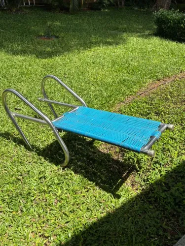 Escada piscina salva animal