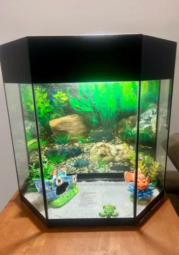 Aquário de Canto com Iluminação e Enfeites