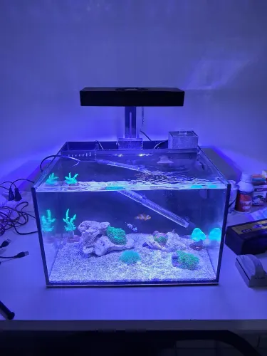 Vendo aquario 35l