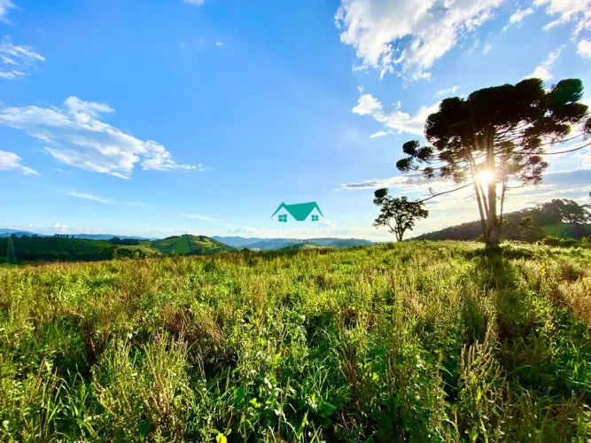 Terreno à Venda com 20000 m²