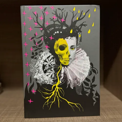 Livro Lady Killers Profile: Condessa Báthory - Kimberly Craft (Darkside)