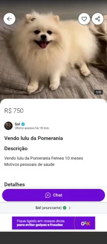 Golpe