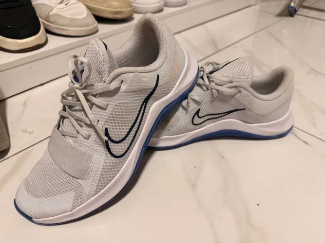 Nike Trainee 2