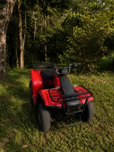Quadriciclo Yamaha GT