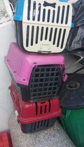 Transporte para pet