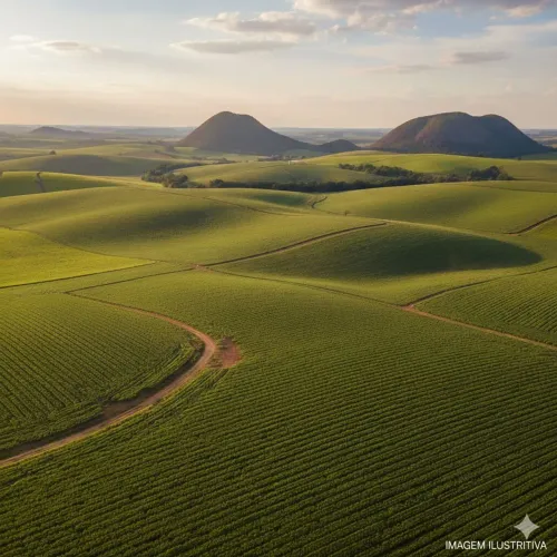 OURO LÍQUIDO: Fazenda de 300hec com Potencial de Irrigação e Abundância de Água!